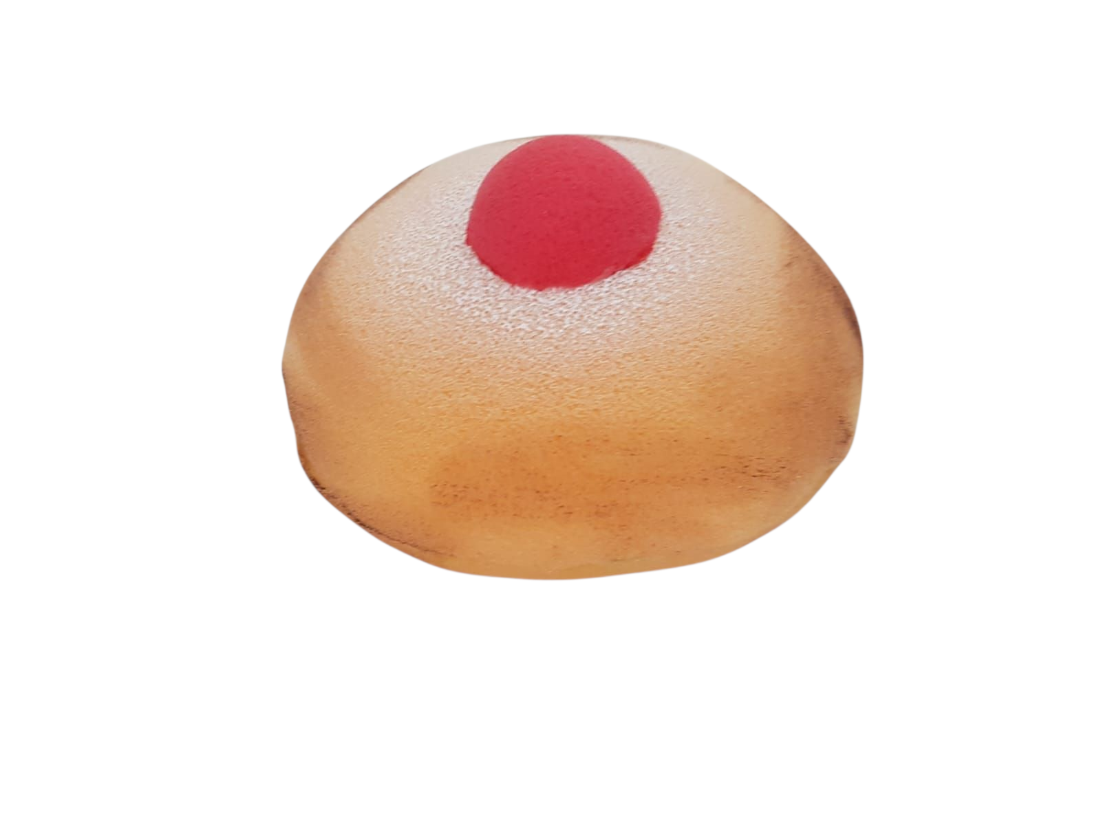 ספגנייה מספוג