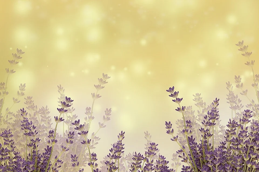 nature-3195612_960_720.webp