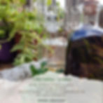 Taller teórico-práctico "Tu botiquín con Fitoterapia Canaria"