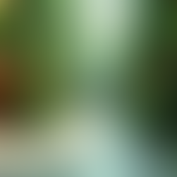 Living the Dream: How Accommodation Managing Transforms Everyday Life into a Colorful Adventure