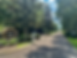 Santa Fe Forest