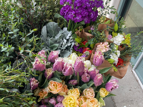 Weekly Seasonal Flowers | April 13th - 19th