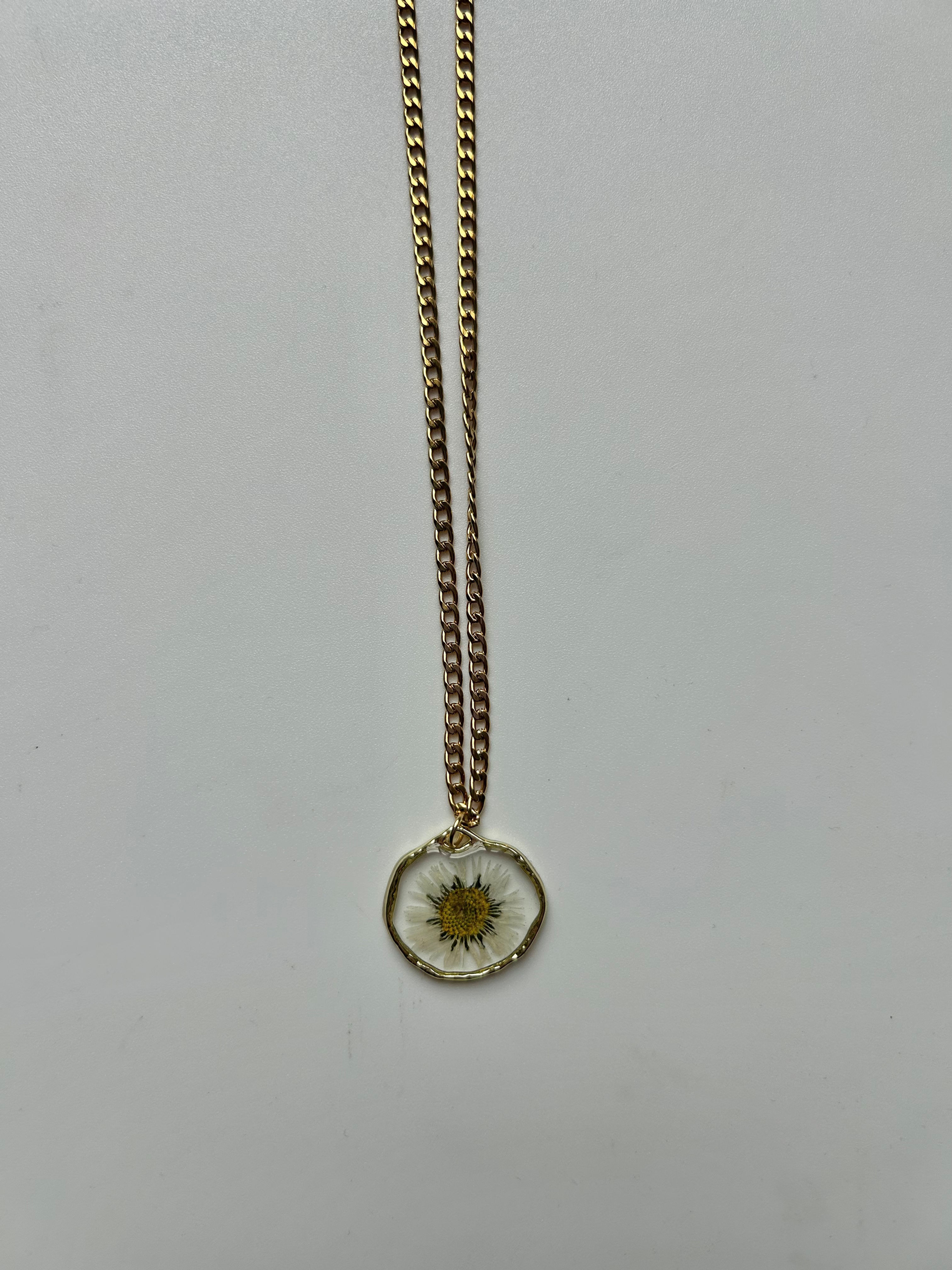 Collar margarita