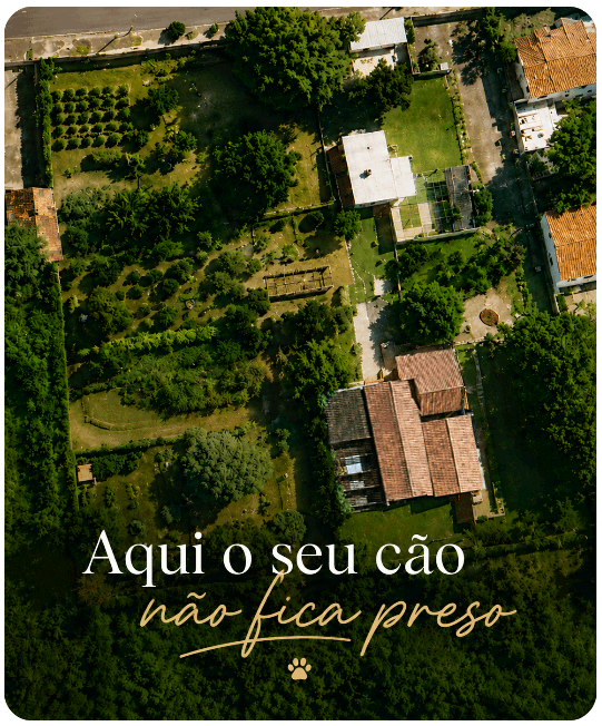 EPS_MAPA_WIX.gif