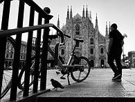 IMG_8829.JPEG