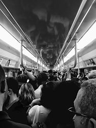 IMG_1085.JPEG