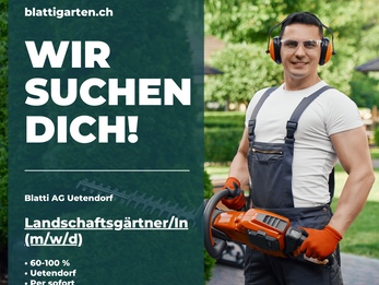 Bist du unser neues Teammitglied?