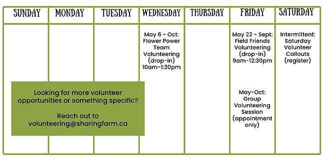 2026 Volunteer Program Schedule (3)_edited.jpg