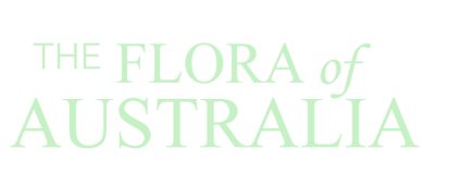 FoAs.png