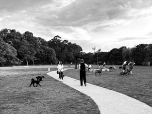 Private Vs Public Open Space