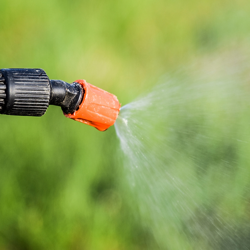 Sorensen Outdoor Services Lawn Care Fungicide Applications