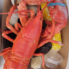 Fredericksburg Area Service League Rock Lobster