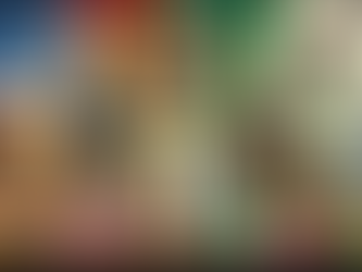 Election Outcomes and Economic Expectations: The Transition from López Obrador to Sheinbaum