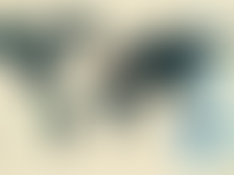 Navigating Cross-Border Investments Amid Political Instability