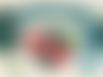 Diplomacy in Action: Navigating US-Mexico Trade Disputes