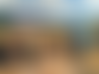 Balancing Human Rights and Border Security: A Delicate Dance