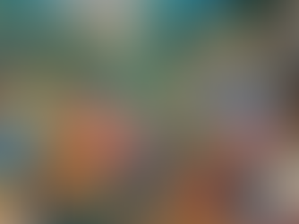 Mexican American Economy