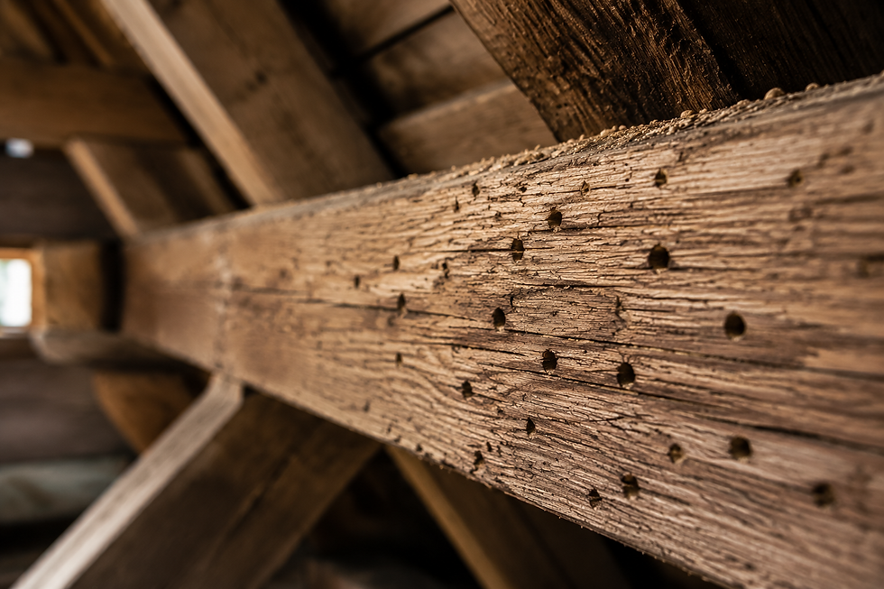 a133c670-96b0-483b-aaca-492f6e78afb2.png