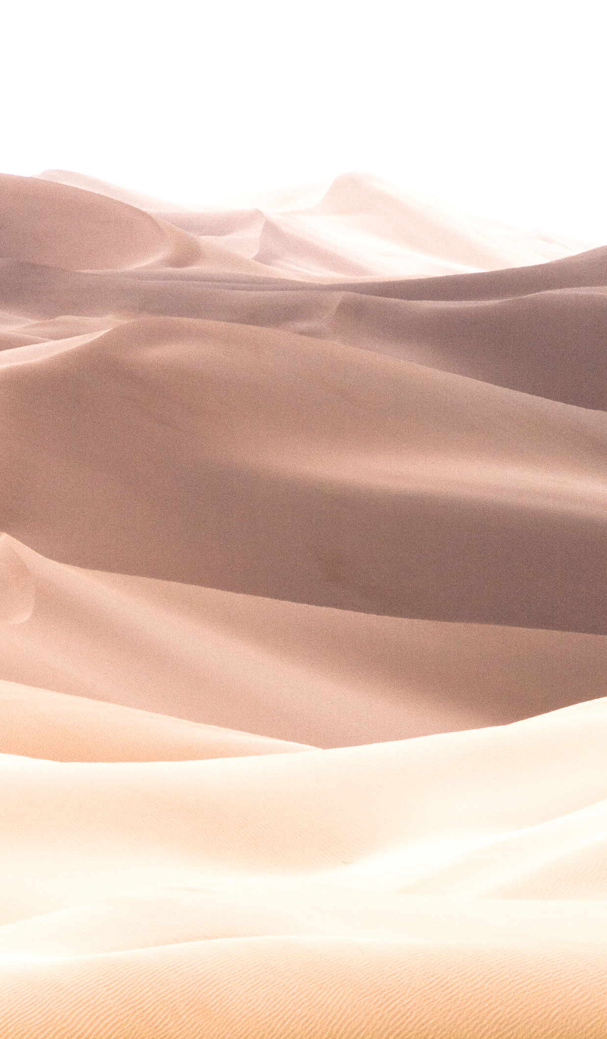 Sand Dunes_edited.jpg