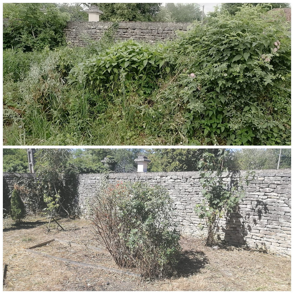 Remise en état jardin