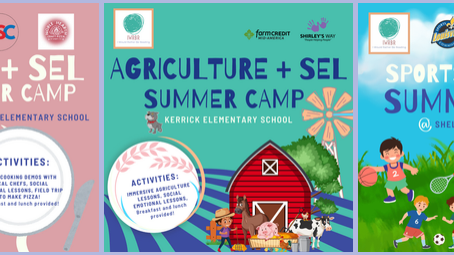 Emergency Appeal Update: Summer Camps Are Underway!
