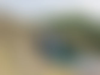 Scenes From The Trail and Falls