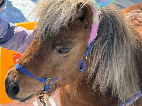 7th Annual Community Easter Egg Hunt 2024