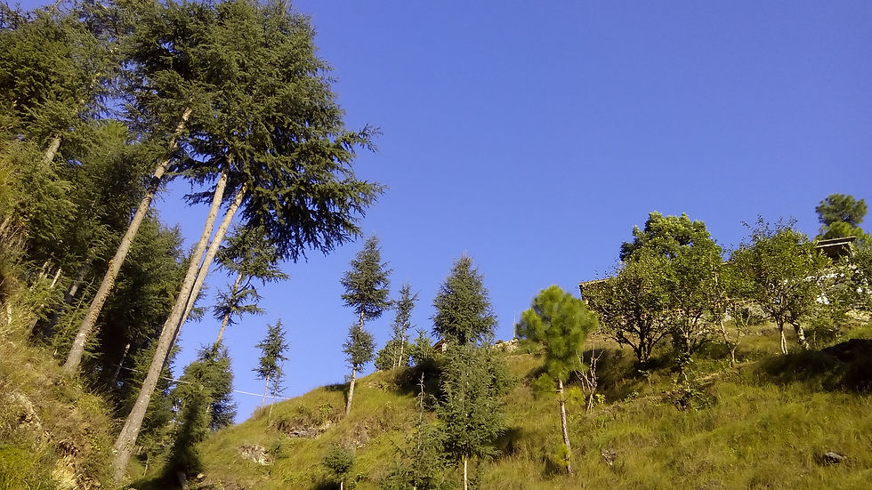 Aqua Power+_20151008_071011