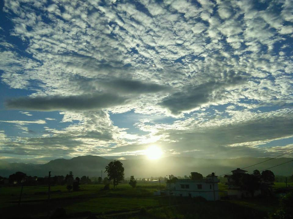 13680951_1225099700875210_153088182997237446_n