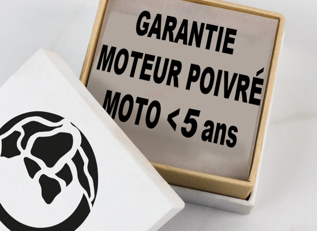 GARANTIE MOTOR < 5 Yahre