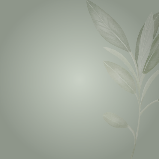 AshForge Rustic Herbal Kit - Background 2_ Sage Wash.png