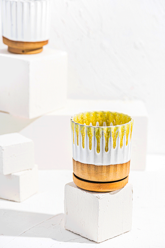 צילומי וידאו למוצר