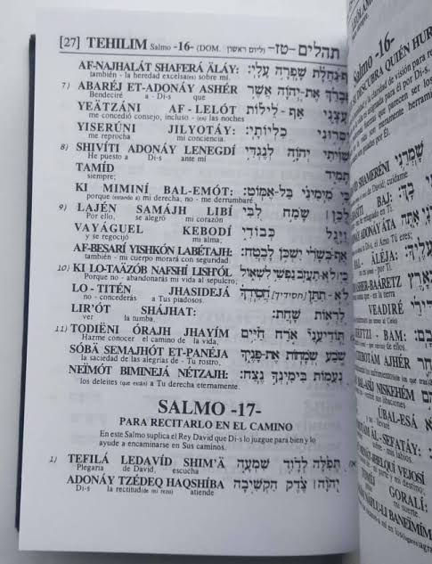 Miniatura: Tehilim (Salmos) Grande c/n PLACA PLATA - Pasta Dura - Quemante