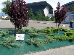 Talus toile et plantations