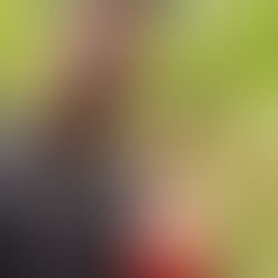 נחישות הורית מול שעות מסך וגבולות בכלל 