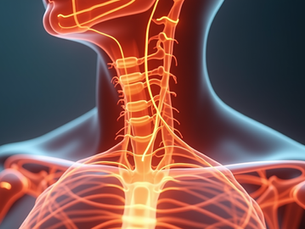 Harnessing the Power of the Vagus Nerve to Alleviate Arthritis Pain and Fatigue