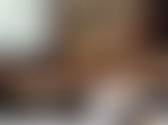 窓辺の木製カウンターに置かれたクッションの上で、日向ぼっこをしながらくつろぐ2匹の愛猫。格子窓から差し込む柔らかな光が、猫の毛並みと静かなアトリエの室内を照らしています。