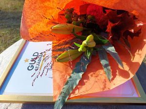 Grattis! Årets Guldstjärnor blev...