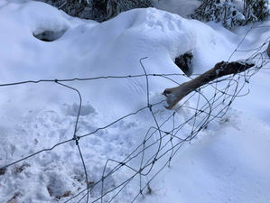 Stängsel.. Till vilken nytta?