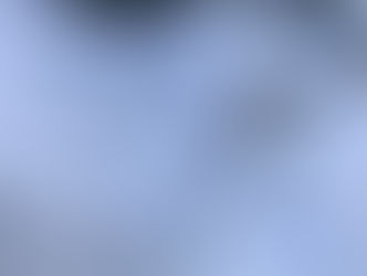 Stängsel.. Till vilken nytta?