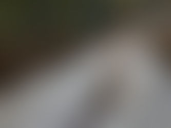 Korpens sommarutmaning