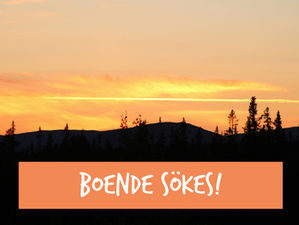 Efterlysning! Boende sökes!