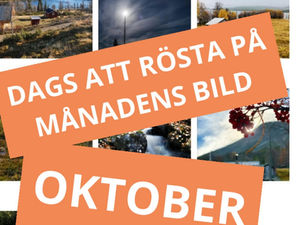 Dags att rösta på månadens bild - oktober 2021