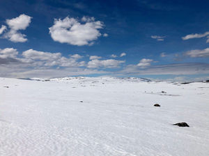 Ännu en underbar helg på skotern!