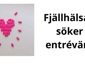 Fjällhälsan söker Entrévärd