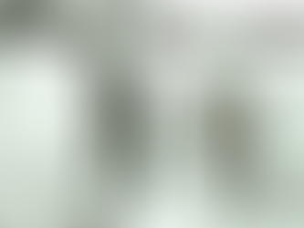 Skidtur på Sonfjället 1966