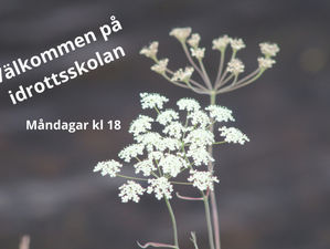 Nu kör idrottsskolan igång igen i Hede