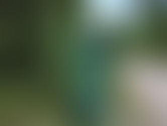 Soptömning - året med 53 veckor