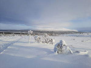 Grattis! Februaribilden är framröstad!