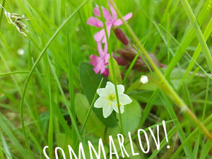 Äntligen sommarlov!!